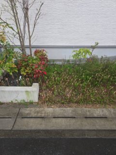 駐輪場新設